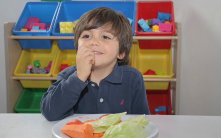 Comida Saludable
